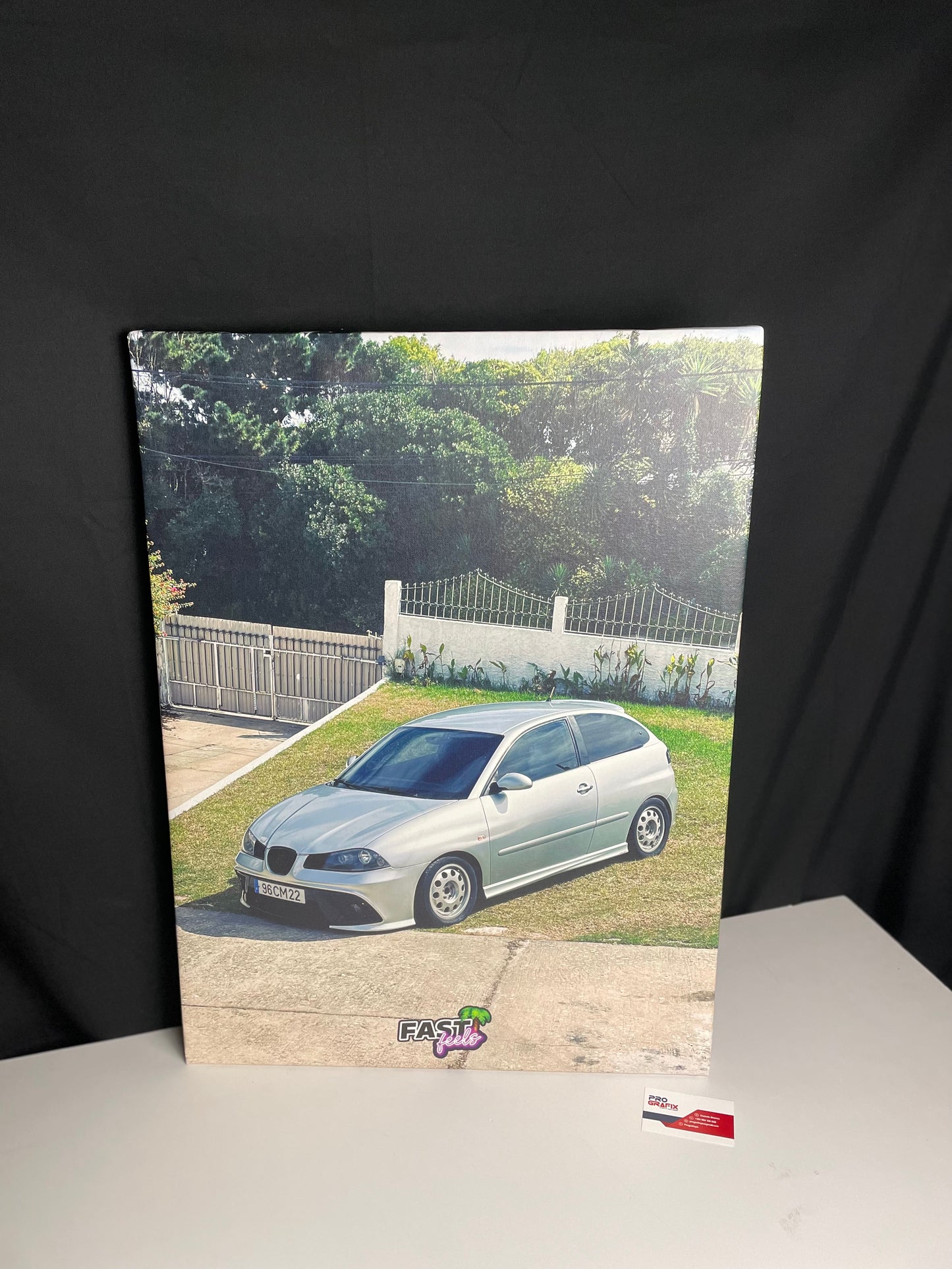 Telas canva com foto